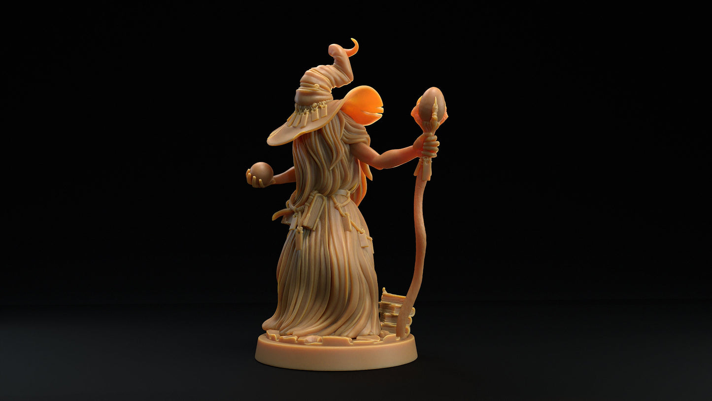Hair Wizards | Dragon Trappers Lodge | Monster | One Page Rules | 32mm | Resin Printed Tabletop RPG Figures | DND | 5E | Halloween