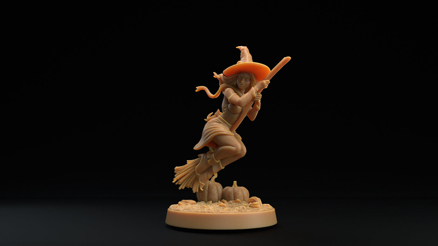 Witches | Dragon Trappers Lodge | Monster | One Page Rules | 32mm | Resin Printed Tabletop RPG Figures | DND | 5E | Halloween