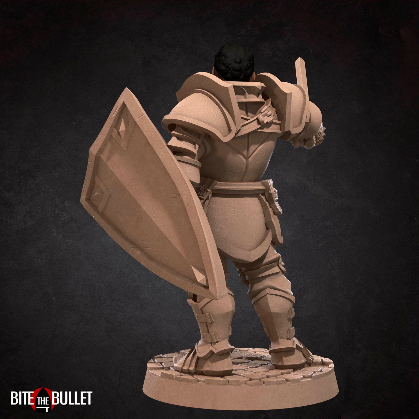 Hero Paladin | Bite The Bullet | 35mm Scale | Resin Printed Tabletop RPG Miniature Figures | DND | 5E