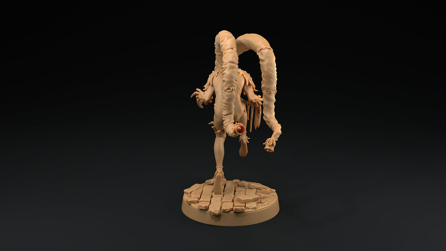 The Red Jester | Dragon Trappers Lodge | Monster | One Page Rules | 32mm | Resin Printed Tabletop RPG Figures | DND | 5E | Halloween