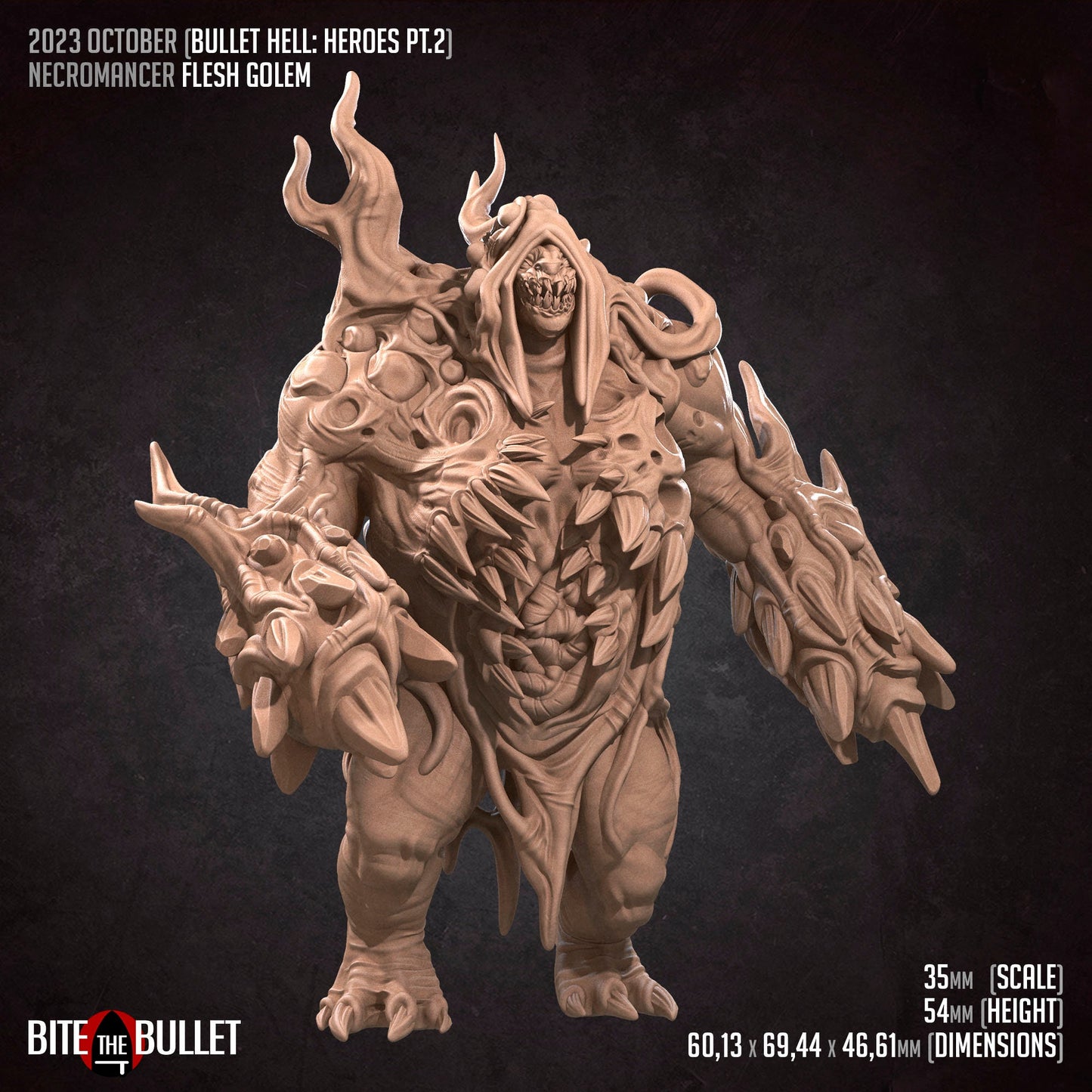 Necromancer Flesh Golem | Bite The Bullet | 35mm Scale | Resin Printed Tabletop RPG Miniature Figures | DND | 5E