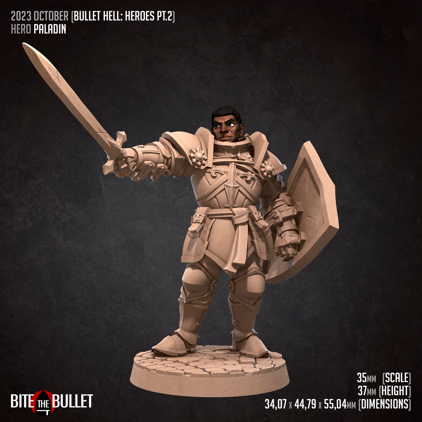 Hero Paladin | Bite The Bullet | 35mm Scale | Resin Printed Tabletop RPG Miniature Figures | DND | 5E