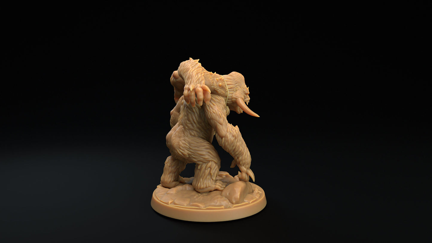 Skarr'gor Set | Dragon Trappers Lodge | The Simiax Legions | 32mm Scale Resin Printed Tabletop RPG Figures For DND 5E and OPR