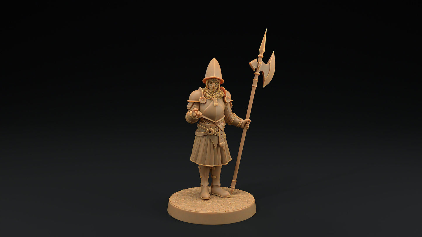 City Guard Set | Dragon Trappers Lodge | Hero Hunters Lodge | 32mm Scale Resin Printed Tabletop RPG Figure For DND and TTRPGs