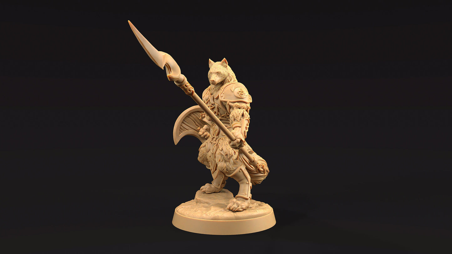 Moon Guard Set | Dragon Trappers Lodge | The Moon Enclave | 32mm Scale Resin Printed Tabletop RPG Figure For DND