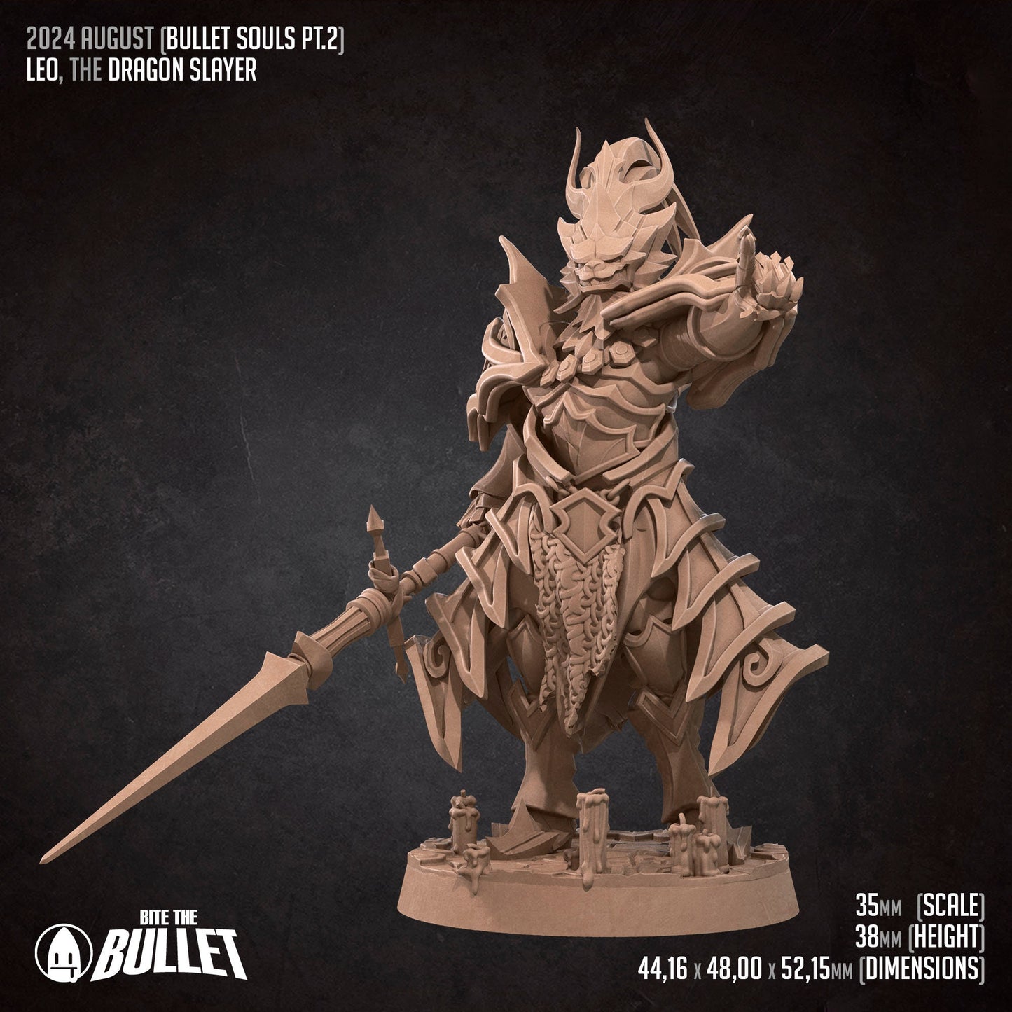 Leo The Dragon Slayer | Bite The Bullet | 35mm Scale | Resin Printed Tabletop RPG Miniature Figures | DND | 5E