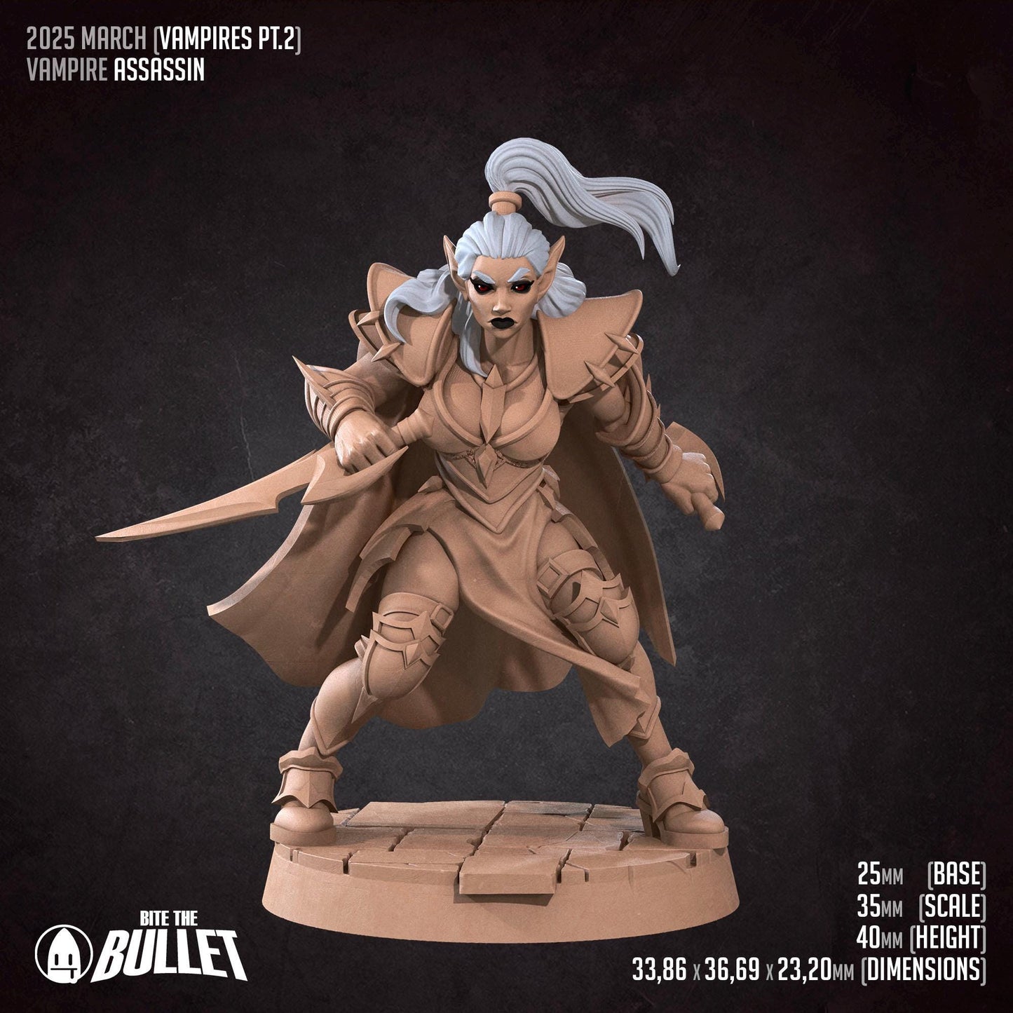 Assassin | Vampires Pt. 2 | Bite The Bullet | 35mm Scale | Resin Printed Tabletop RPG Miniature Figures | DND | 5E