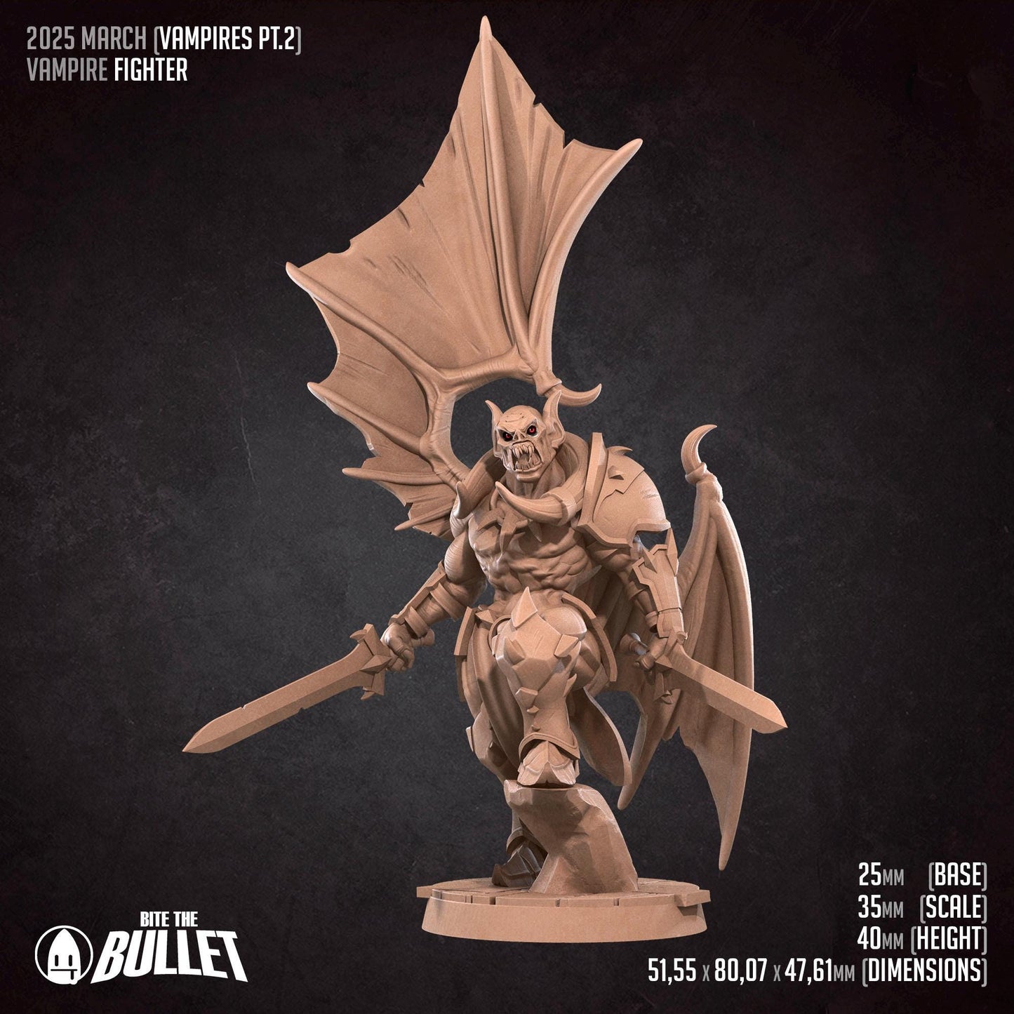 Vampire Fighter | Vampires Pt. 2 | Bite The Bullet | 35mm Scale | Resin Printed Tabletop RPG Miniature Figures | DND | 5E
