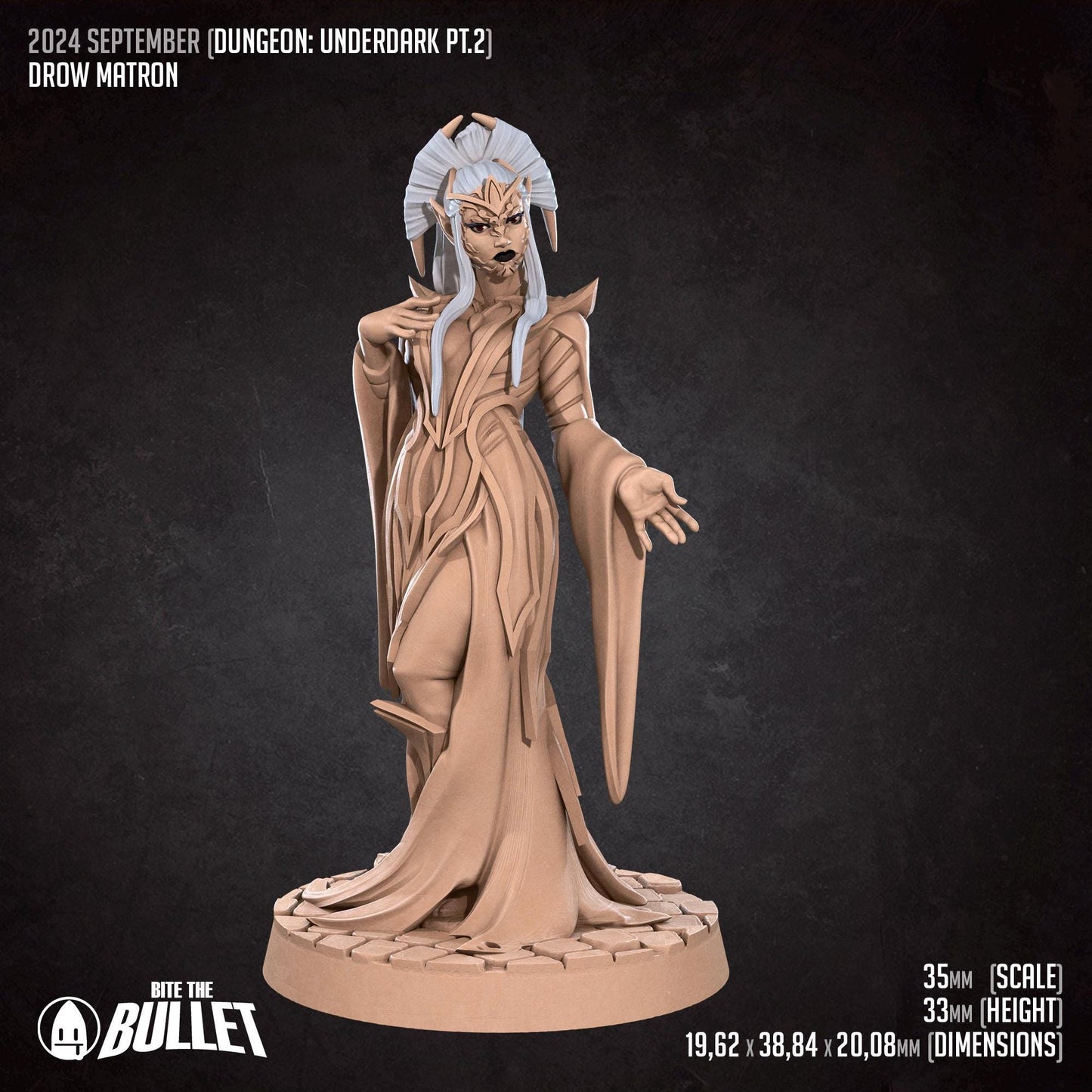 Drow Matron | Dungeon Underdark | Bite The Bullet | 35mm Scale | Resin Printed Tabletop RPG Miniature Figures | DND | 5E