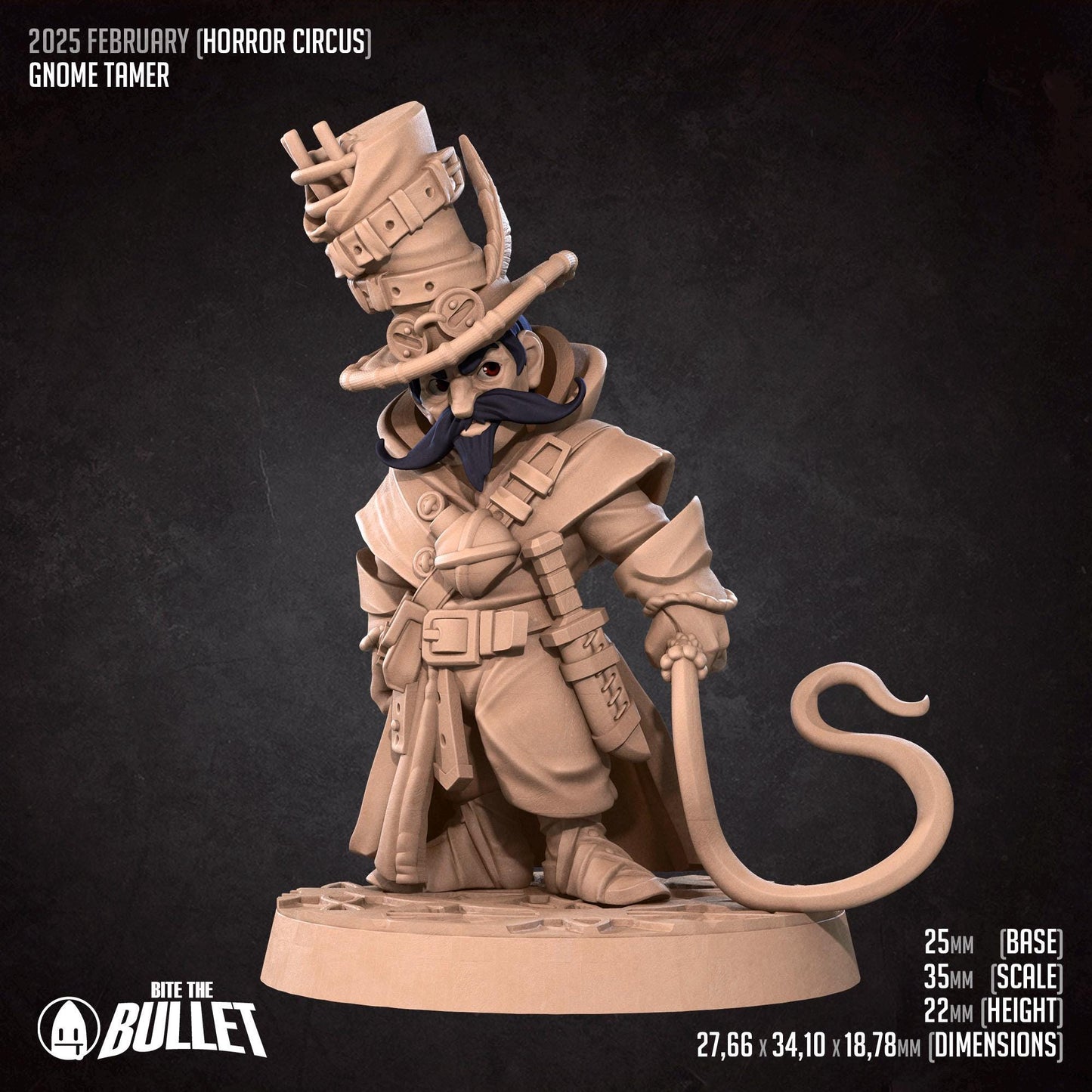 Gnome Tamer | Horror Circus | Bite The Bullet | 35mm Scale | Resin Printed Tabletop RPG Miniature Figures | DND | 5E