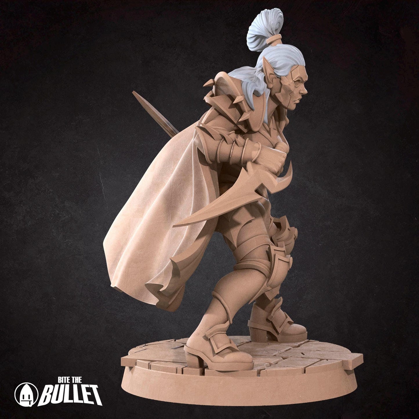 Assassin | Vampires Pt. 2 | Bite The Bullet | 35mm Scale | Resin Printed Tabletop RPG Miniature Figures | DND | 5E