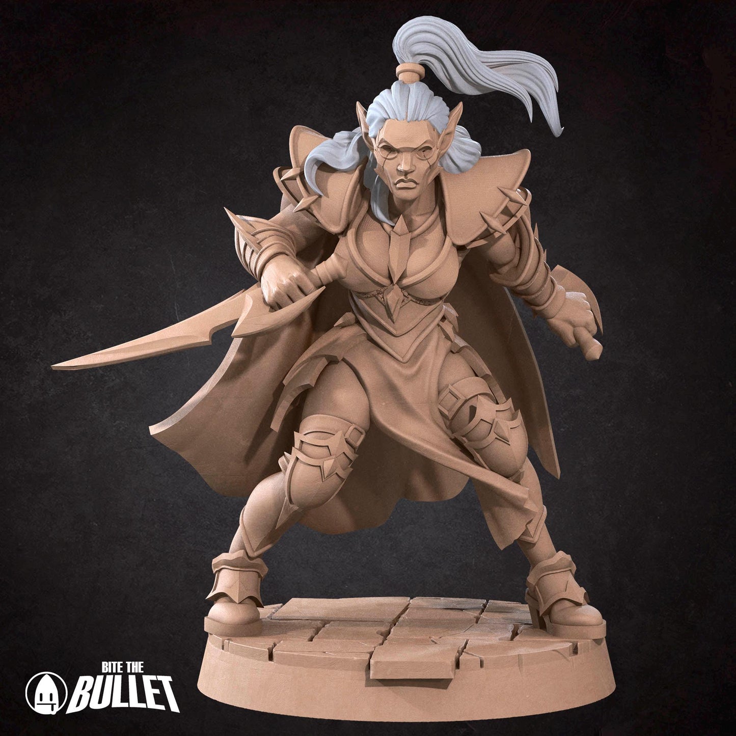 Assassin | Vampires Pt. 2 | Bite The Bullet | 35mm Scale | Resin Printed Tabletop RPG Miniature Figures | DND | 5E