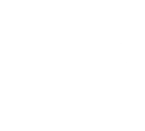 Wise Toad Mini Shop
