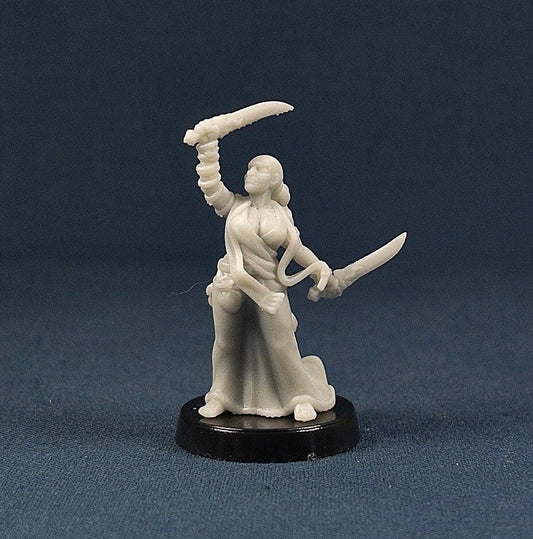 Augur | Vae Victis Miniatures | Swords | NPC | Soldier | Resin | Tabletop | Miniatures | TTRPG | DND | 5E