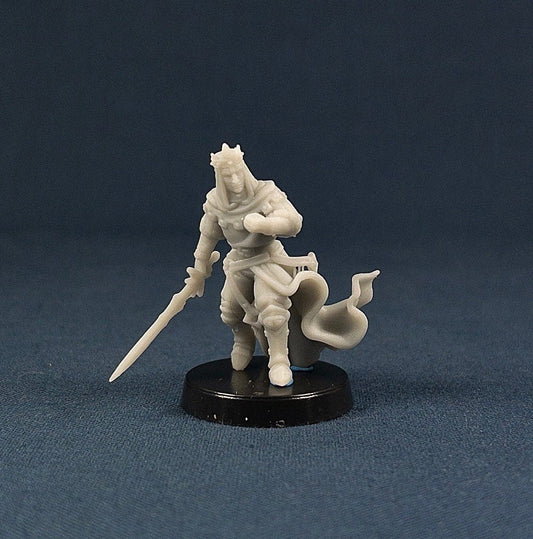 Cult Paladin | Vae Victis Miniatures | Dark | NPC | Cultist | Resin | Tabletop | Miniatures | TTRPG | DND | 5E