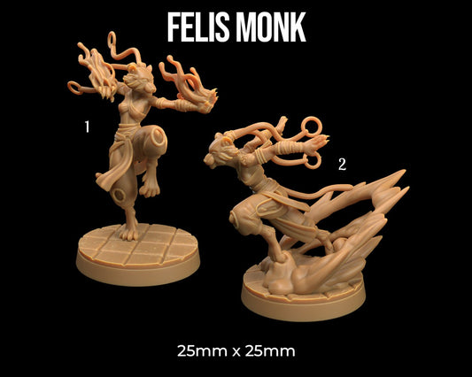 Felis Monk | Dragon Trappers Lodge | Mini | One Page Rules | 32mm | Resin | Tabletop | Miniatures | TTRPG | DND | 5E | OPR