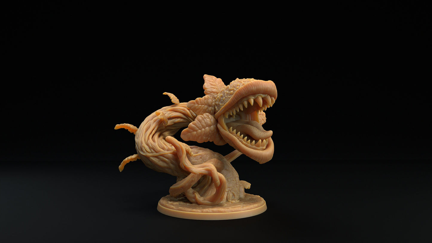 Carnivorous Plant | Dragon Trappers Lodge | Monster | One Page Rules | 32mm | Resin Printed Tabletop RPG Figures | DND | 5E | Halloween