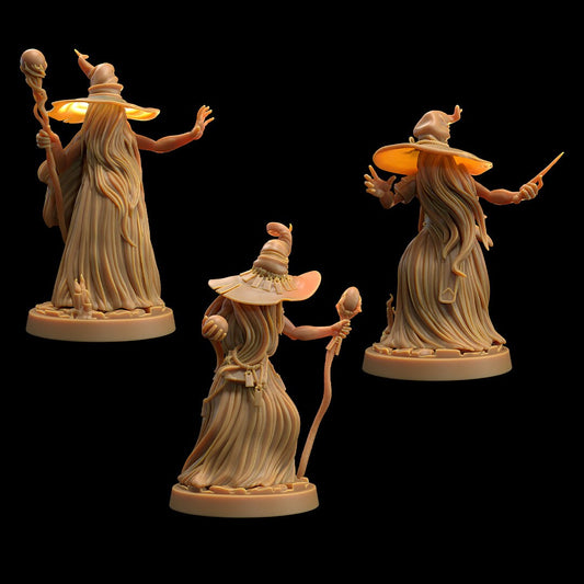 Hair Wizards | Dragon Trappers Lodge | Monster | One Page Rules | 32mm | Resin Printed Tabletop RPG Figures | DND | 5E | Halloween