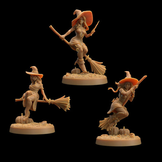 Witches | Dragon Trappers Lodge | Monster | One Page Rules | 32mm | Resin Printed Tabletop RPG Figures | DND | 5E | Halloween