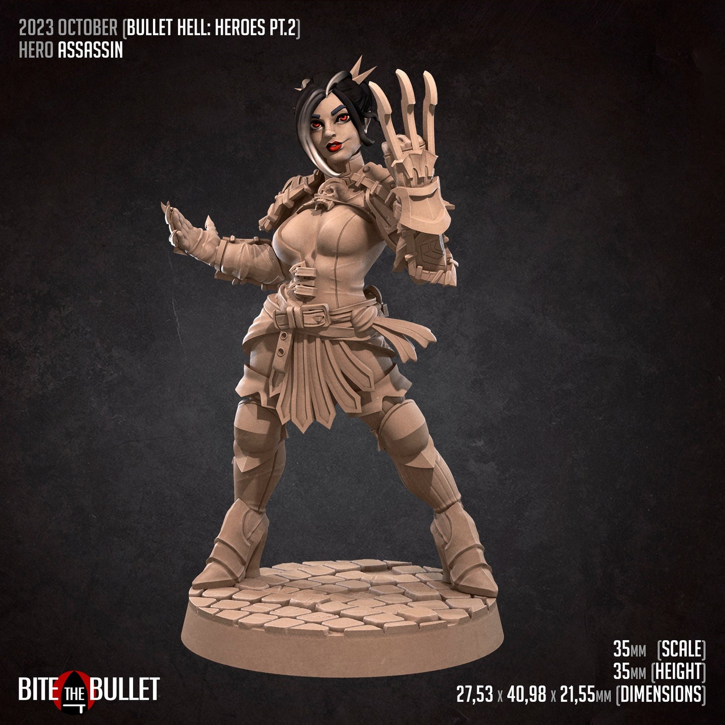 Hero Assassin | Bite The Bullet | 35mm Scale | Resin Printed Tabletop RPG Miniature Figures | DND | 5E