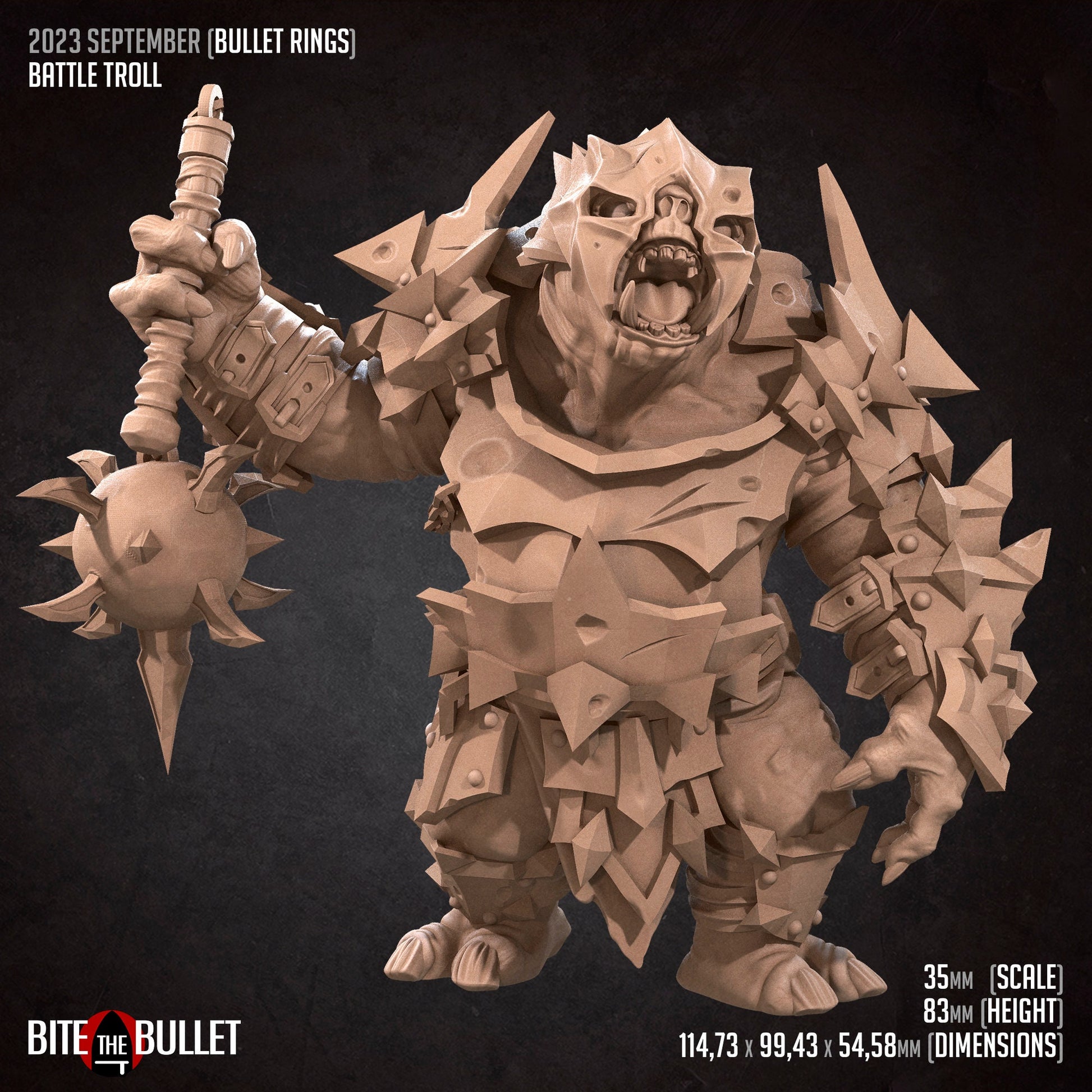 Battle Troll | Bite The Bullet | 35mm Scale | Resin Printed Tabletop RPG Miniature Figures | DND | 5E