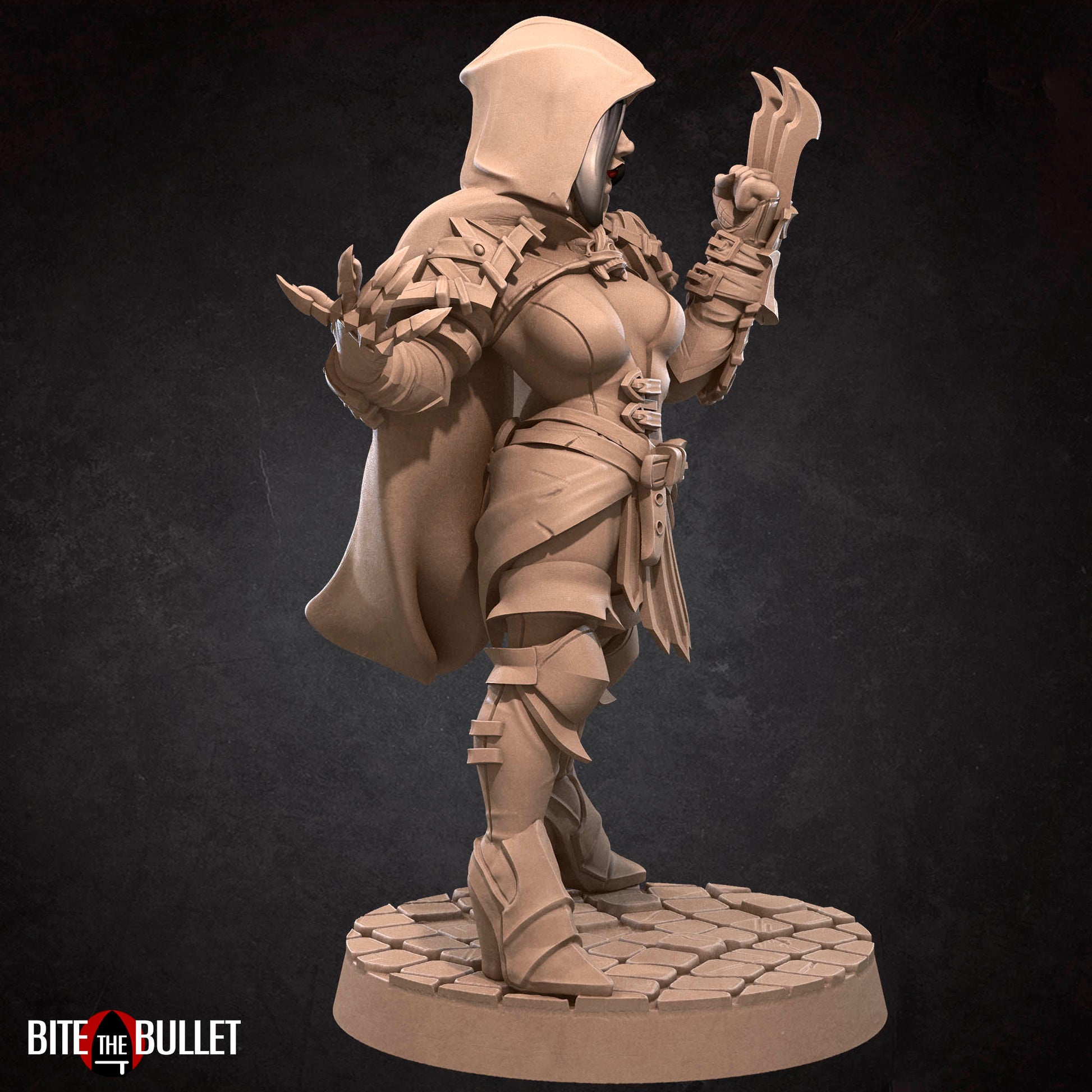 Hero Assassin | Bite The Bullet | 35mm Scale | Resin Printed Tabletop RPG Miniature Figures | DND | 5E