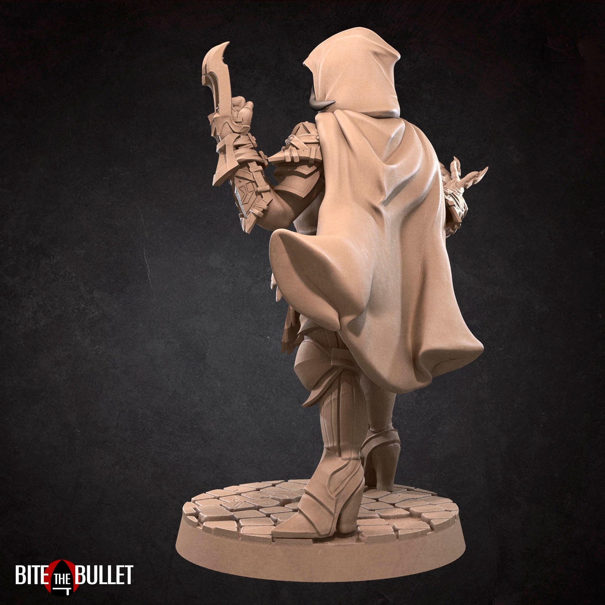 Hero Assassin | Bite The Bullet | 35mm Scale | Resin Printed Tabletop RPG Miniature Figures | DND | 5E
