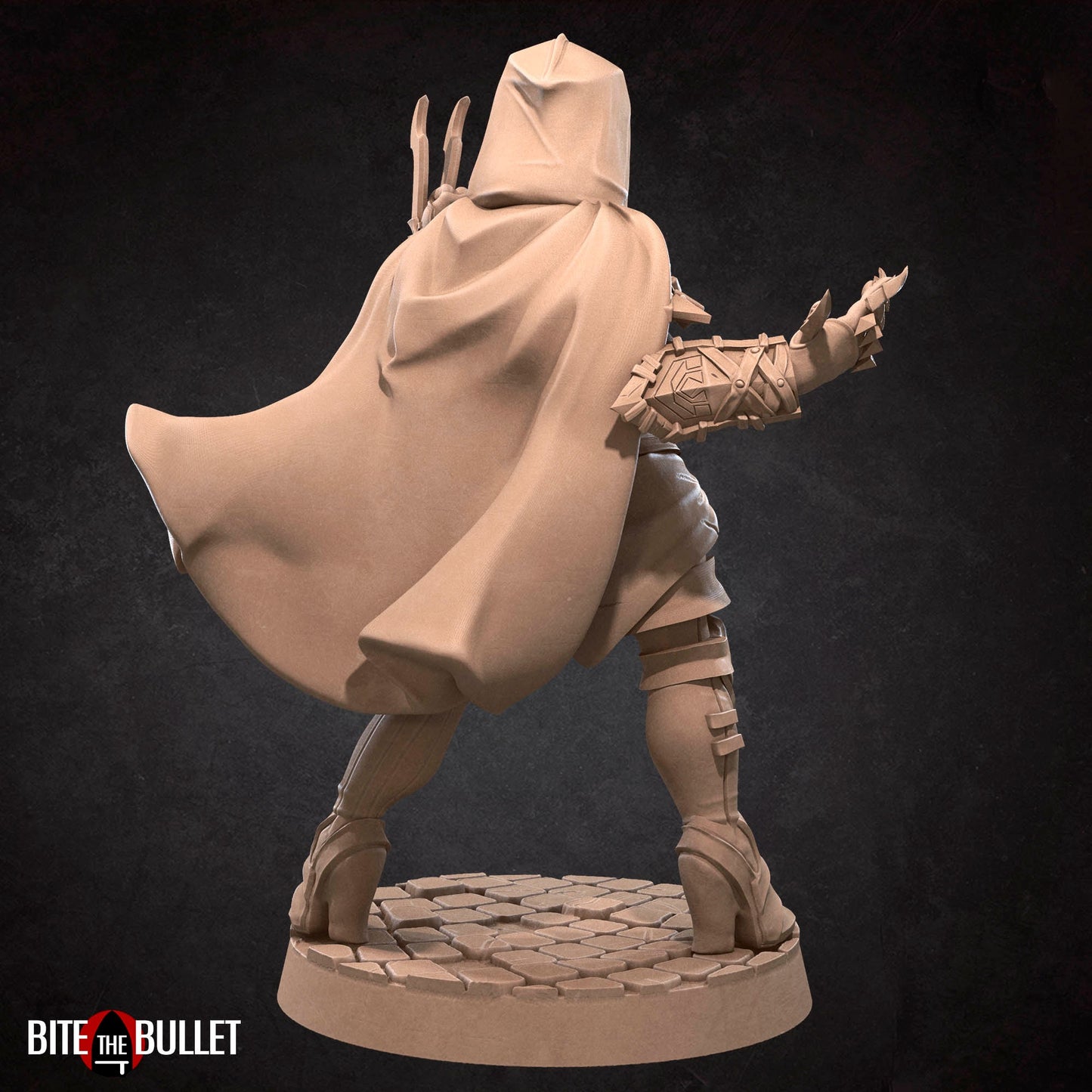 Hero Assassin | Bite The Bullet | 35mm Scale | Resin Printed Tabletop RPG Miniature Figures | DND | 5E