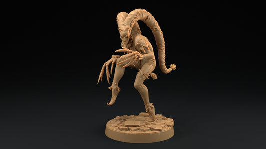 The Red Jester | Dragon Trappers Lodge | Monster | One Page Rules | 32mm | Resin Printed Tabletop RPG Figures | DND | 5E | Halloween