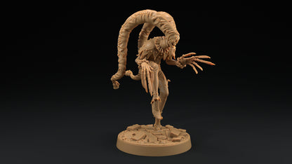 The Red Jester | Dragon Trappers Lodge | Monster | One Page Rules | 32mm | Resin Printed Tabletop RPG Figures | DND | 5E | Halloween
