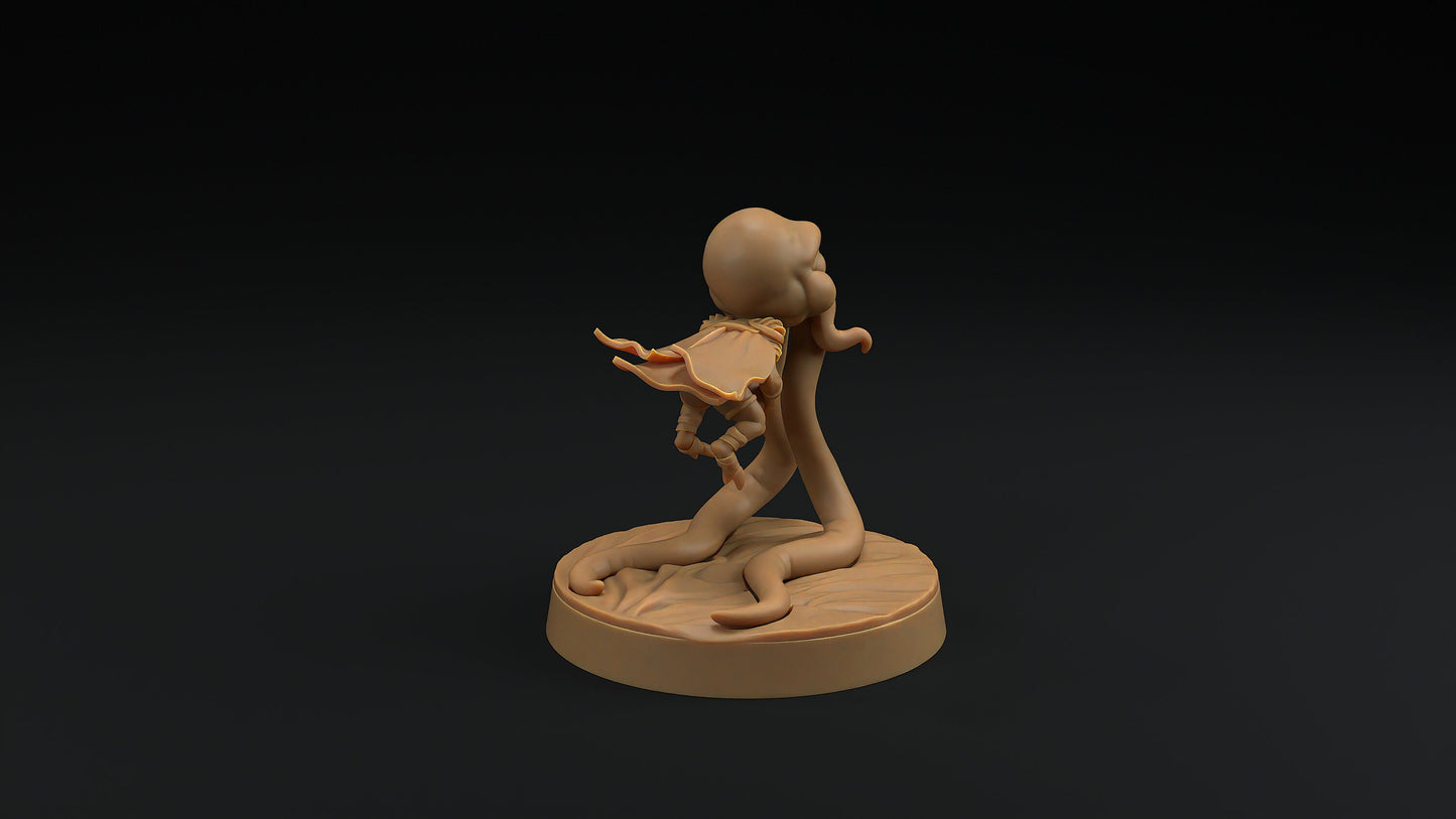 Gnome Squidling | Dragon Trappers Lodge | Monster | One Page Rules | 32mm | Resin Printed Tabletop RPG Figures | DND | 5E