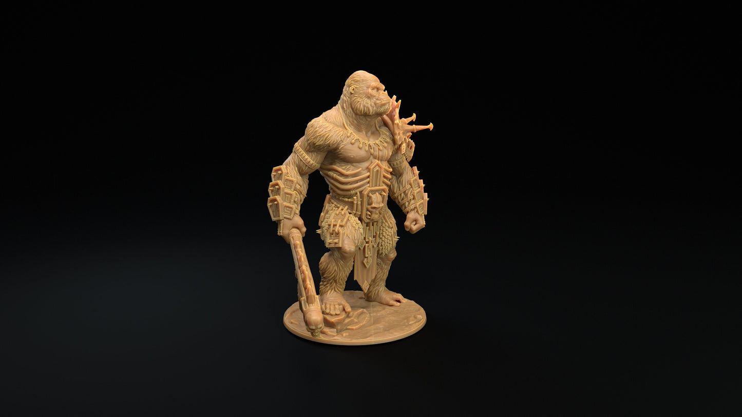 The Stone God | Dragon Trappers Lodge | The Simiax Legions | 32mm Scale Resin Printed Tabletop RPG Figures For DND 5E and OPR