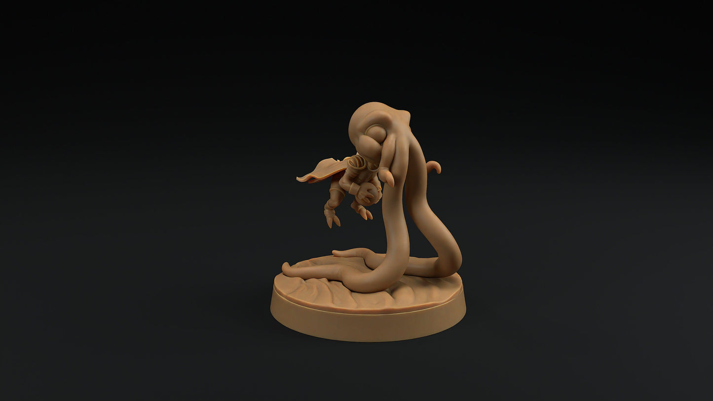 Gnome Squidling | Dragon Trappers Lodge | Monster | One Page Rules | 32mm | Resin Printed Tabletop RPG Figures | DND | 5E