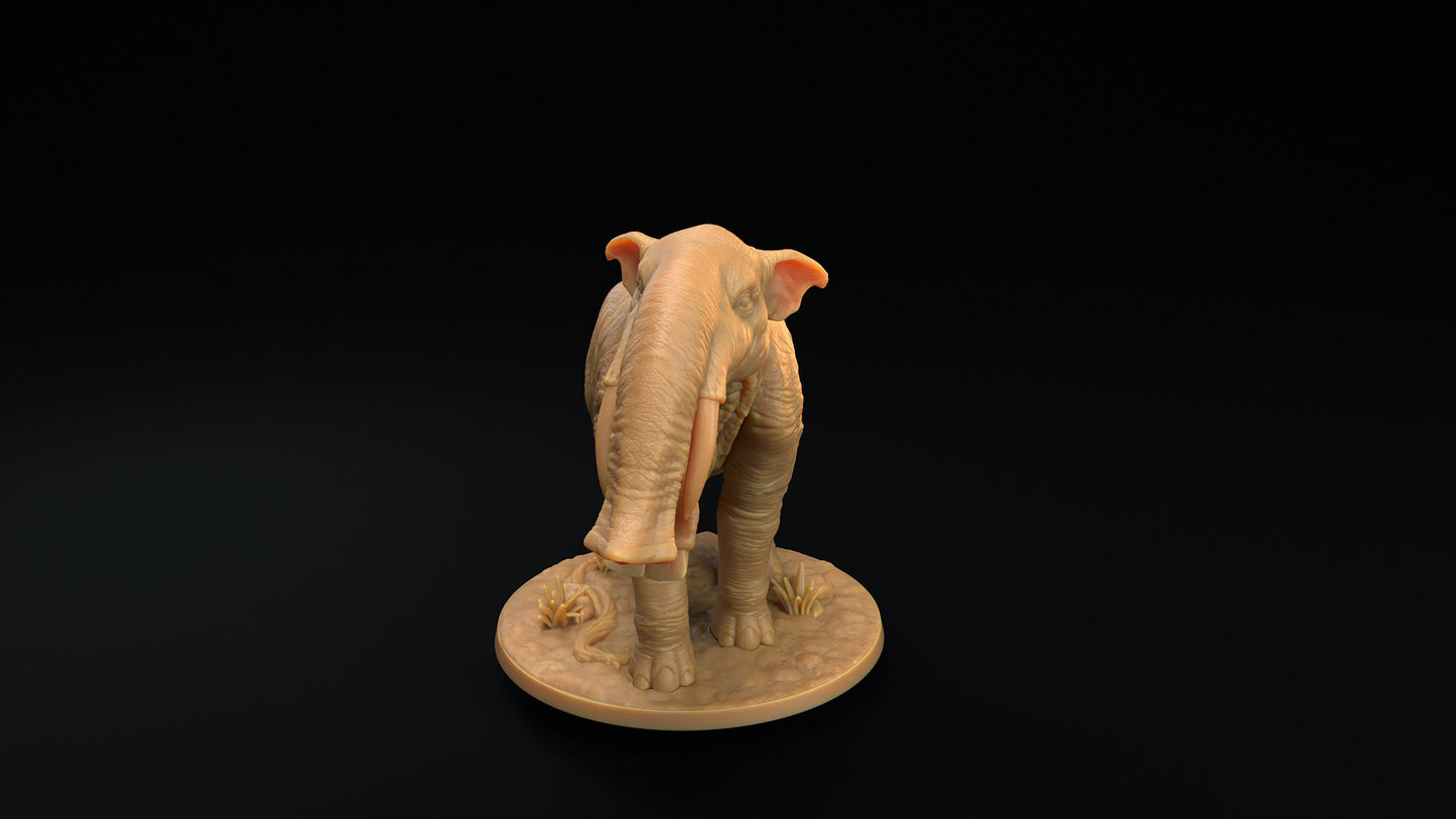 Platybelodon | Dragon Trappers Lodge | The Simiax Legions | 32mm Scale Resin Printed Tabletop RPG Figures For DND 5E and OPR
