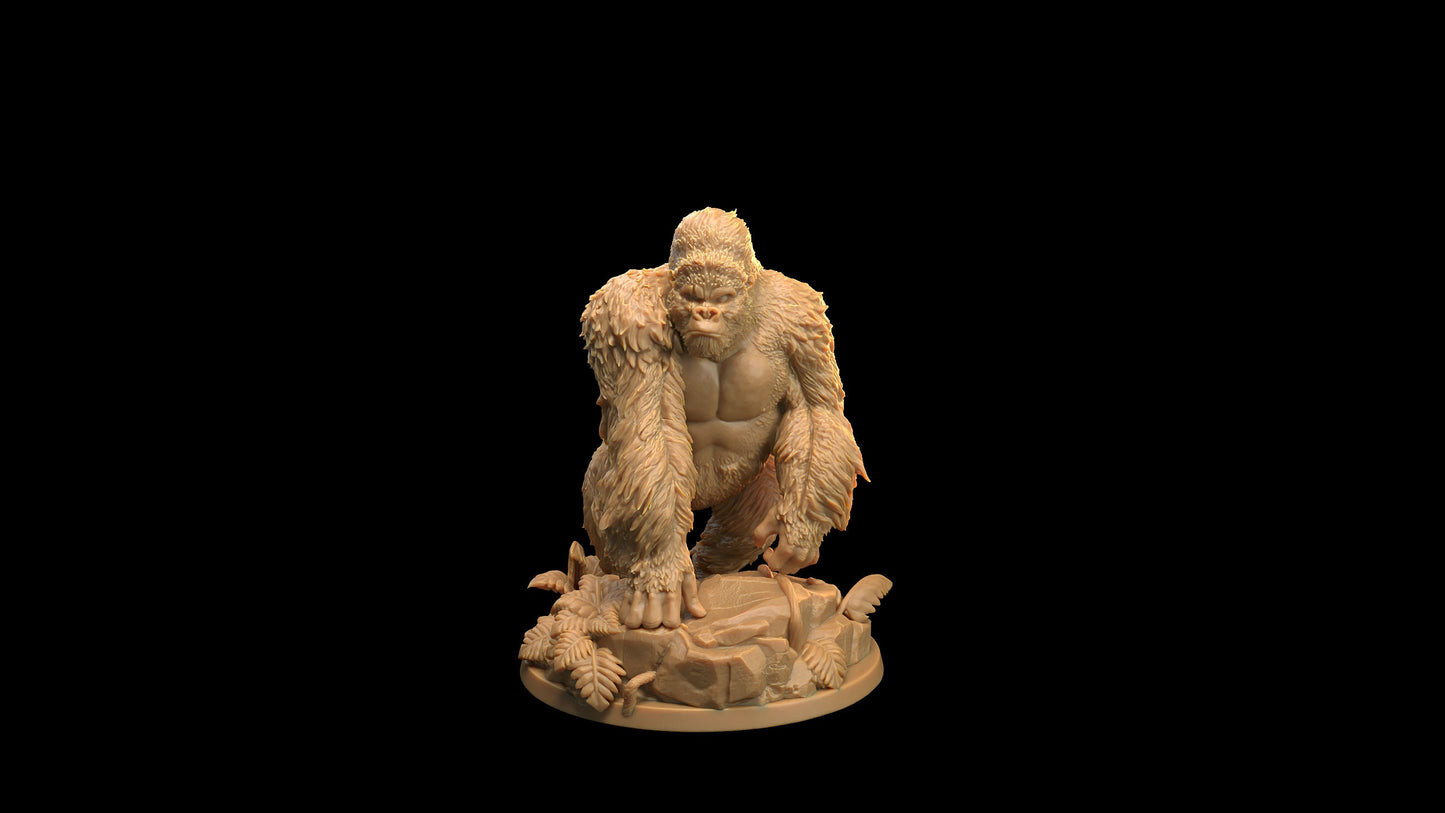 Giant Apes Set | Dragon Trappers Lodge | The Simiax Legions | 32mm Scale Resin Printed Tabletop RPG Figures For DND 5E and OPR