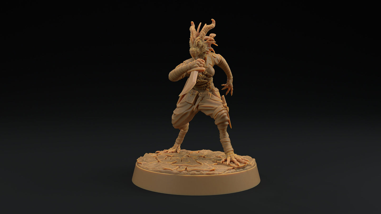 Nyxia Shadowblade | Dragon Trappers Lodge | Draconic Hero | Rogue Dragonborn | 32mm Scale Resin Printed Tabletop RPG Figure For DND 5E