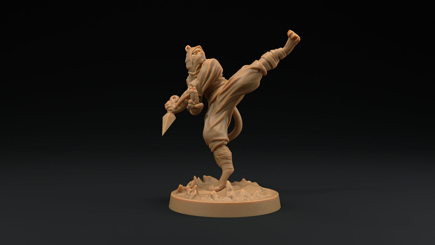 Paw Clan Ninjas Set | Dragon Trappers Lodge | Hero Hunters Lodge | 32mm Scale Resin Printed Tabletop RPG Figure For DND and TTRPGs