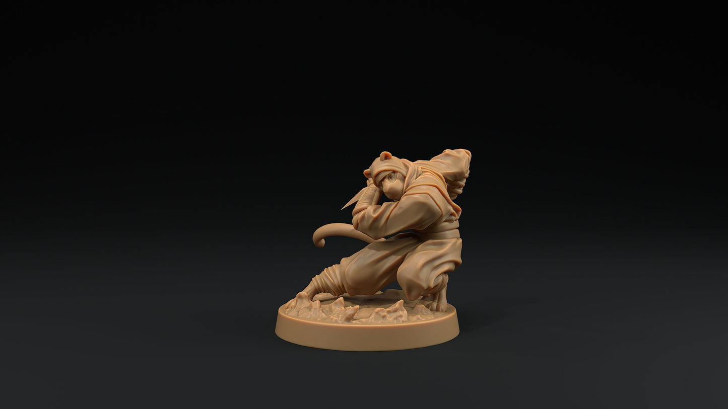 Paw Clan Ninjas Set | Dragon Trappers Lodge | Hero Hunters Lodge | 32mm Scale Resin Printed Tabletop RPG Figure For DND and TTRPGs