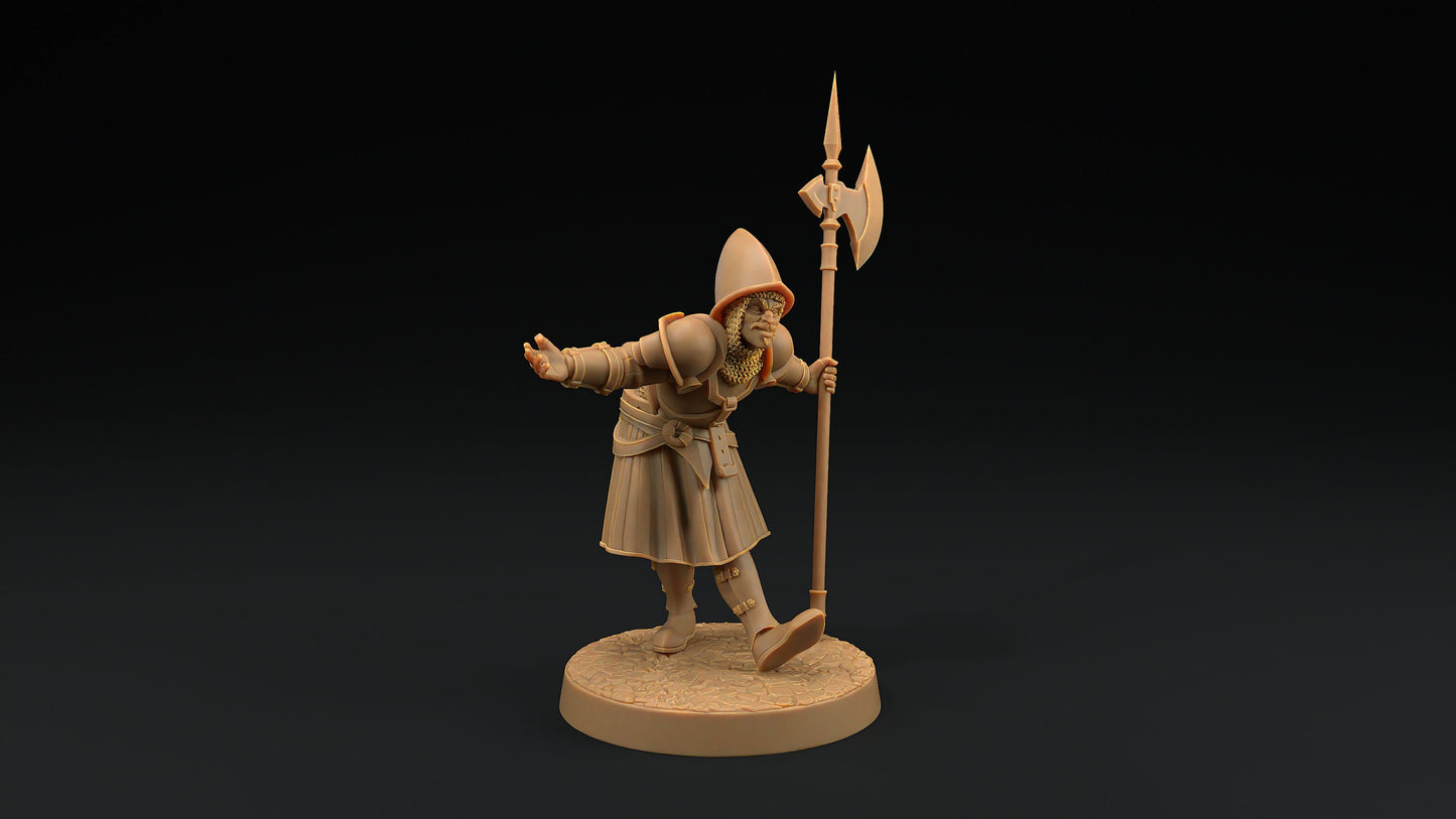 City Guard Set | Dragon Trappers Lodge | Hero Hunters Lodge | 32mm Scale Resin Printed Tabletop RPG Figure For DND and TTRPGs