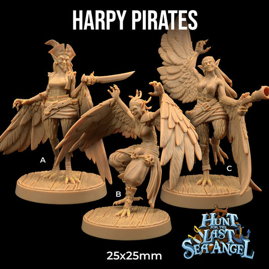 Harpy Pirates Set | Dragon Trappers Lodge | Hunt for The Last Sea Angel | 32mm Scale Resin Printed Tabletop RPG Figure For DND