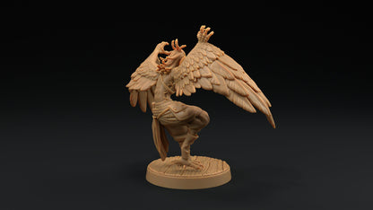 Harpy Pirates Set | Dragon Trappers Lodge | Hunt for The Last Sea Angel | 32mm Scale Resin Printed Tabletop RPG Figure For DND