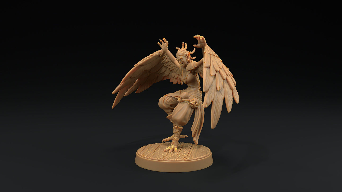 Harpy Pirates Set | Dragon Trappers Lodge | Hunt for The Last Sea Angel | 32mm Scale Resin Printed Tabletop RPG Figure For DND
