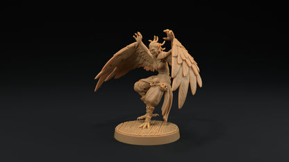 Harpy Pirates Set | Dragon Trappers Lodge | Hunt for The Last Sea Angel | 32mm Scale Resin Printed Tabletop RPG Figure For DND