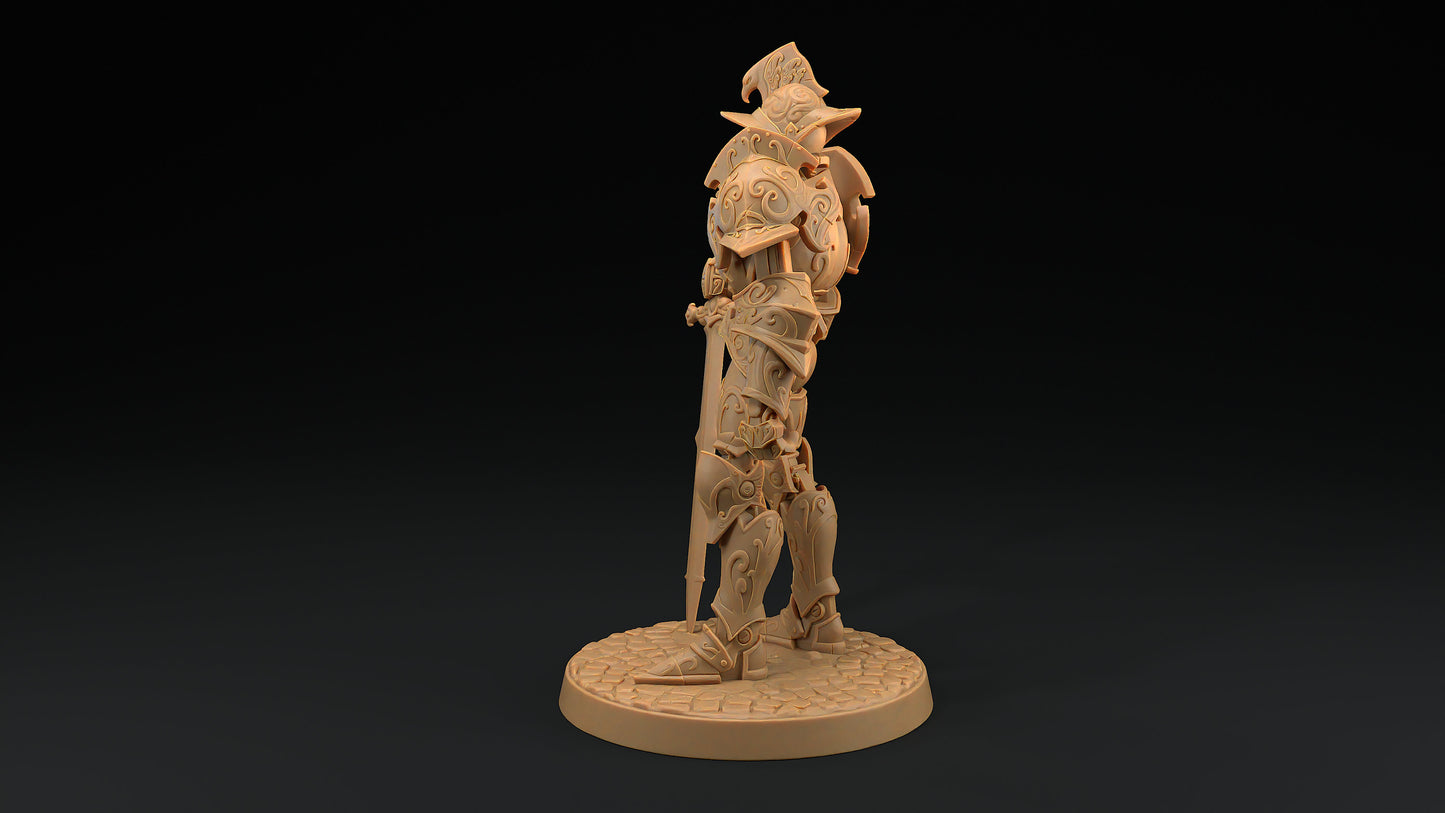Steel Guardian | Dragon Trappers Lodge | Hero Hunters Lodge | 32mm Scale Resin Printed Tabletop RPG Figure For DND and TTRPGs