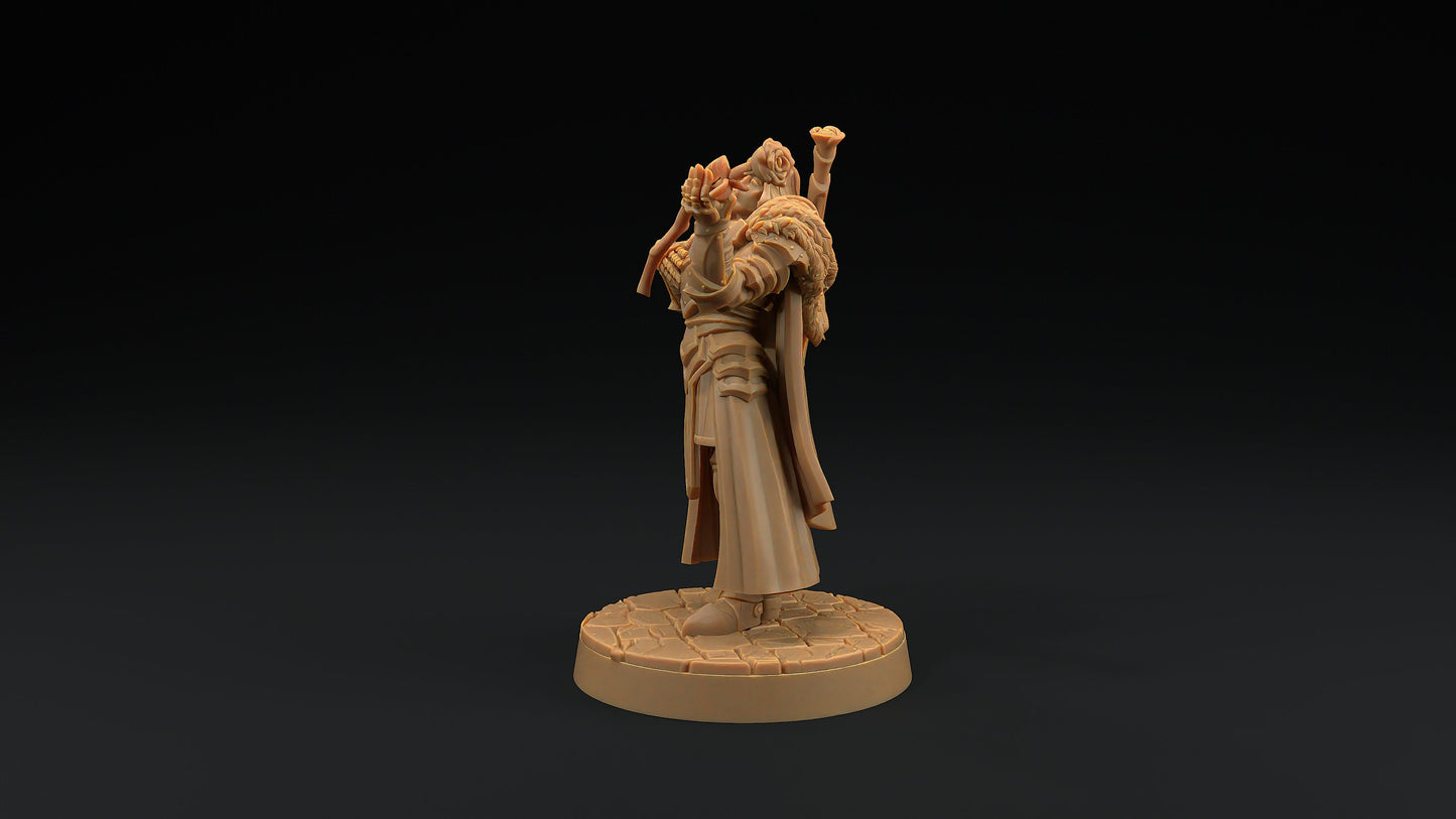 Sir Smugshine | Dragon Trappers Lodge | Hero Hunters Lodge | 32mm Scale Resin Printed Tabletop RPG Figure For DND and TTRPGs