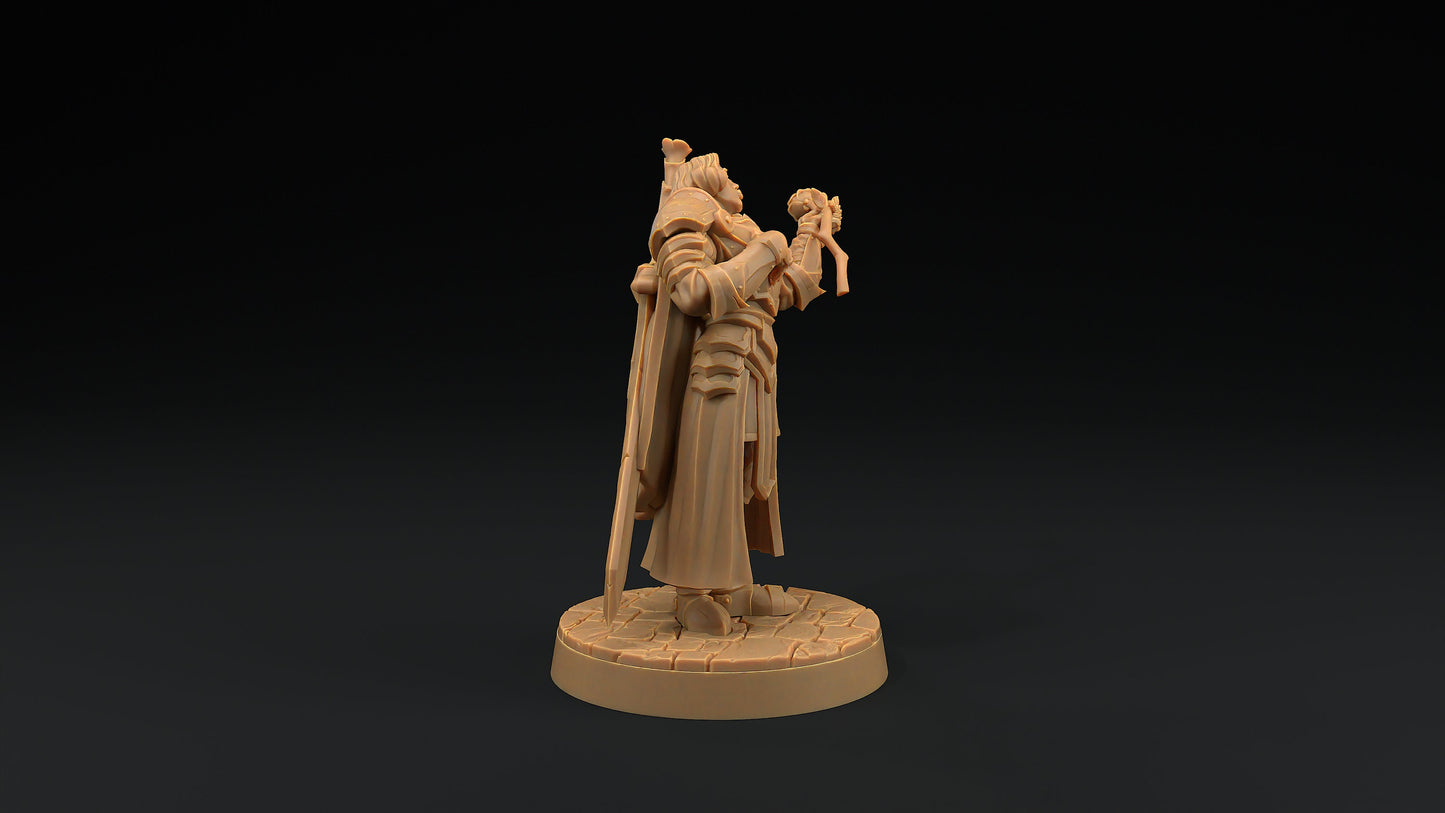 Sir Smugshine | Dragon Trappers Lodge | Hero Hunters Lodge | 32mm Scale Resin Printed Tabletop RPG Figure For DND and TTRPGs