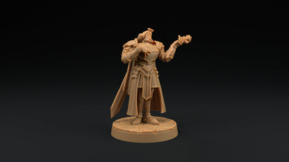 Sir Smugshine | Dragon Trappers Lodge | Hero Hunters Lodge | 32mm Scale Resin Printed Tabletop RPG Figure For DND and TTRPGs