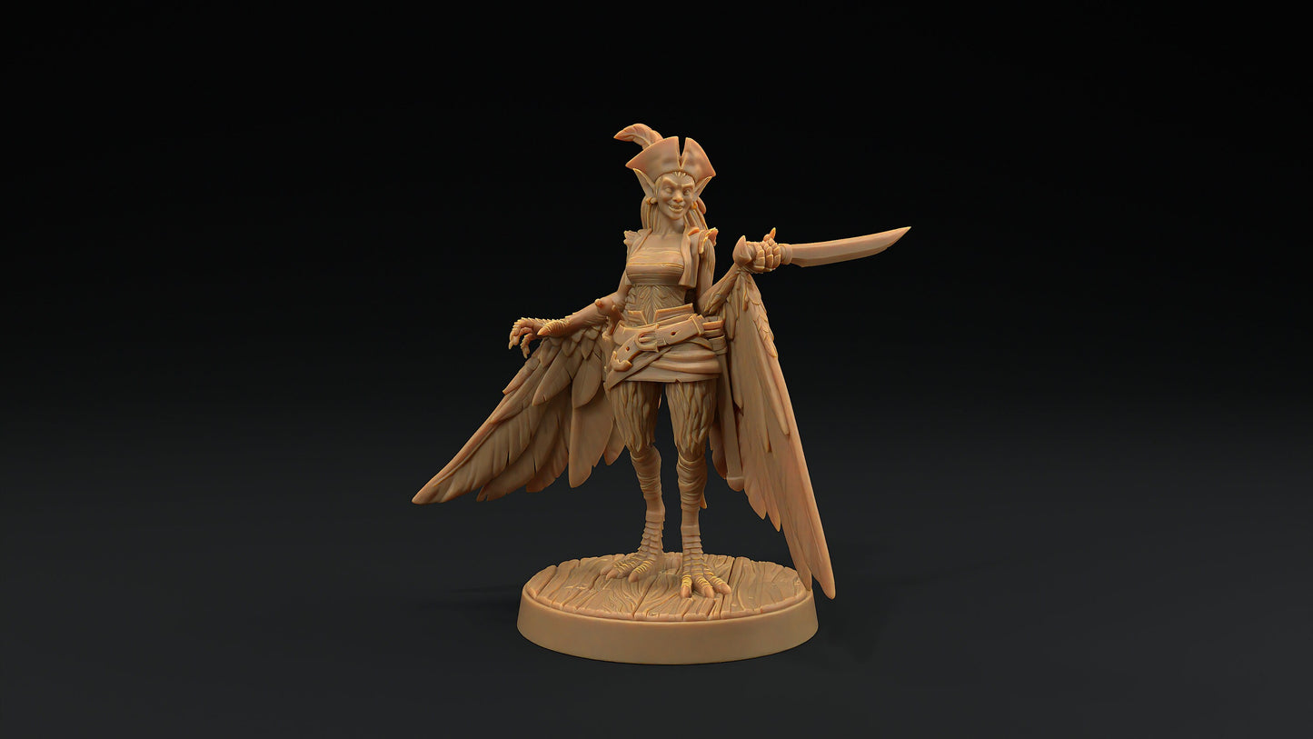 Harpy Pirates Set | Dragon Trappers Lodge | Hunt for The Last Sea Angel | 32mm Scale Resin Printed Tabletop RPG Figure For DND