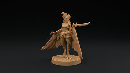 Harpy Pirates Set | Dragon Trappers Lodge | Hunt for The Last Sea Angel | 32mm Scale Resin Printed Tabletop RPG Figure For DND