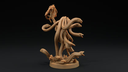 Callista, The Sea Witch | Dragon Trappers Lodge | Hunt for The Last Sea Angel | 32mm Scale Resin Printed Tabletop RPG Figure For DND